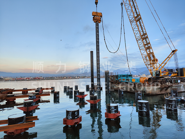 يساعد Shunli في تعزيز التقدم المستمر للمشروع الطرفي متعدد الأغراض في هونغ كونغ ، ميناء ميناء التجار في الصين في إنسينادا ، المكسيك.